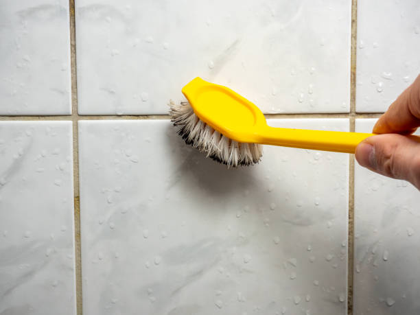 Best Certified Mold Removal  in St Francis, MN