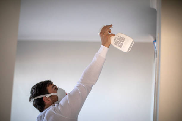 Best Local Mold Removal Service  in St Francis, MN